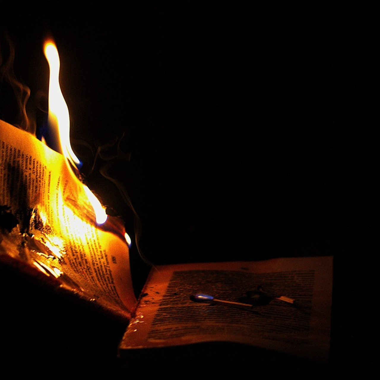 Отзывы. Позитивный контент-фотограф в Санкт-Петербурге Мария Устинова