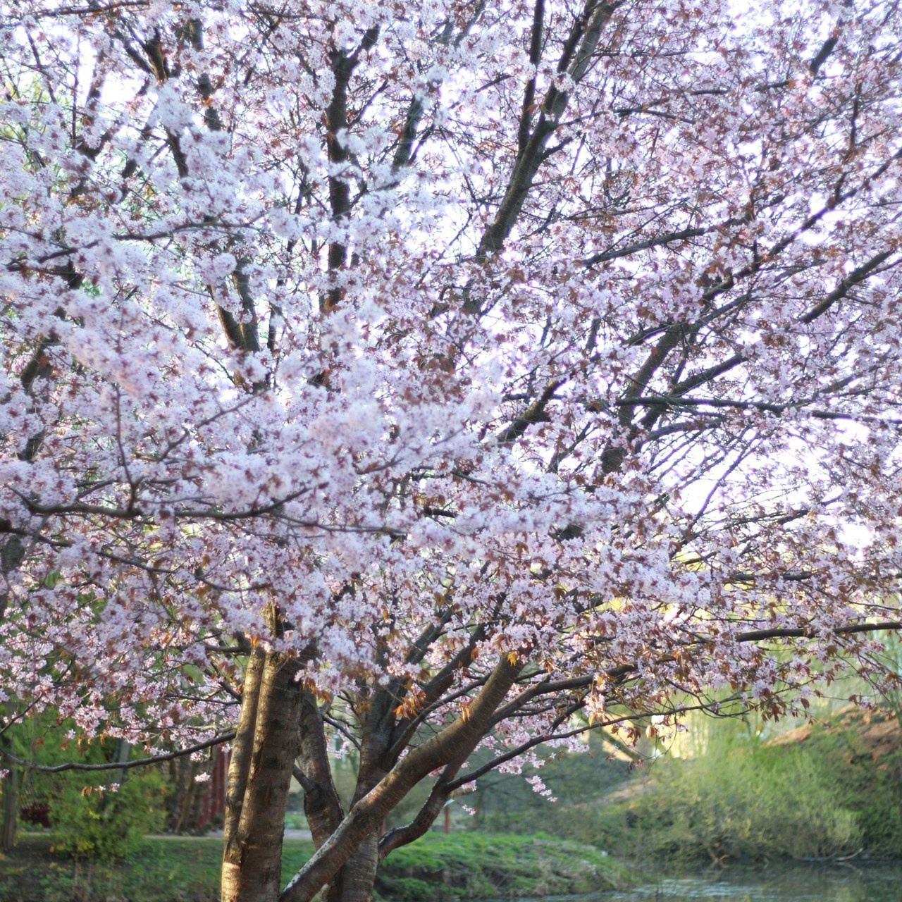 Отзывы. Позитивный контент-фотограф в Санкт-Петербурге Мария Устинова