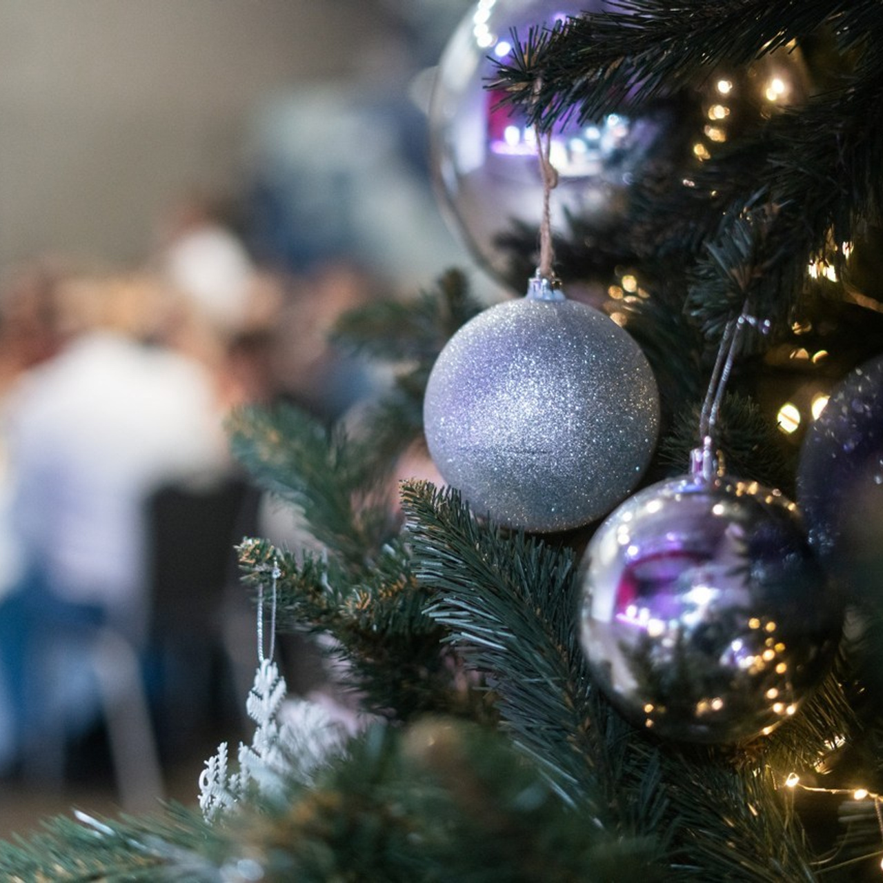 Отзывы. Фотограф Полина Шаленкова. Серпухов