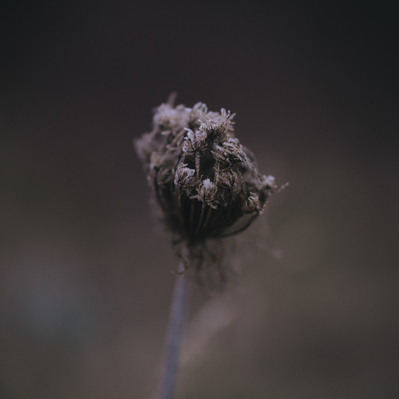 Отзывы. Фотограф Алексей Гарьковенко