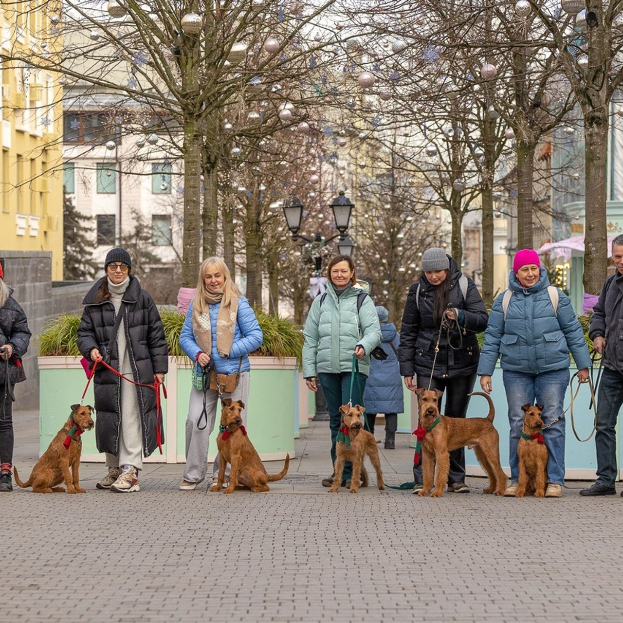 Отзывы. Фотограф-анималист Natalia Deingel | Фотосъемка собак в Москве
