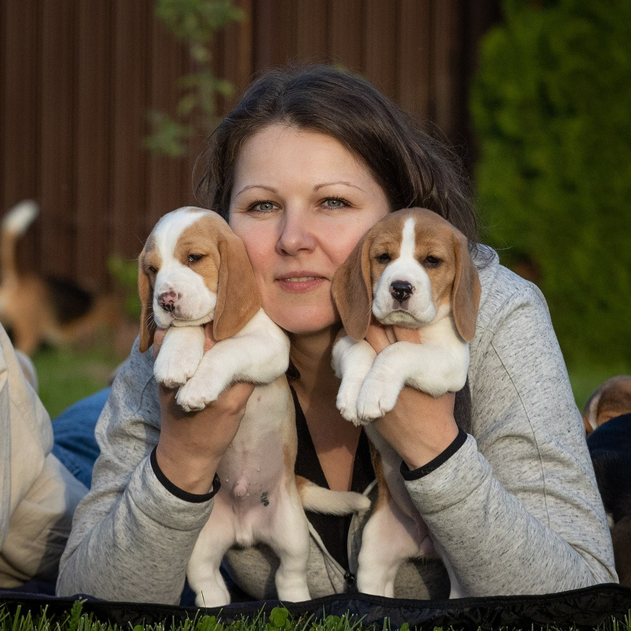 Отзывы. Фотограф-анималист Natalia Deingel | Фотосъемка собак в Москве