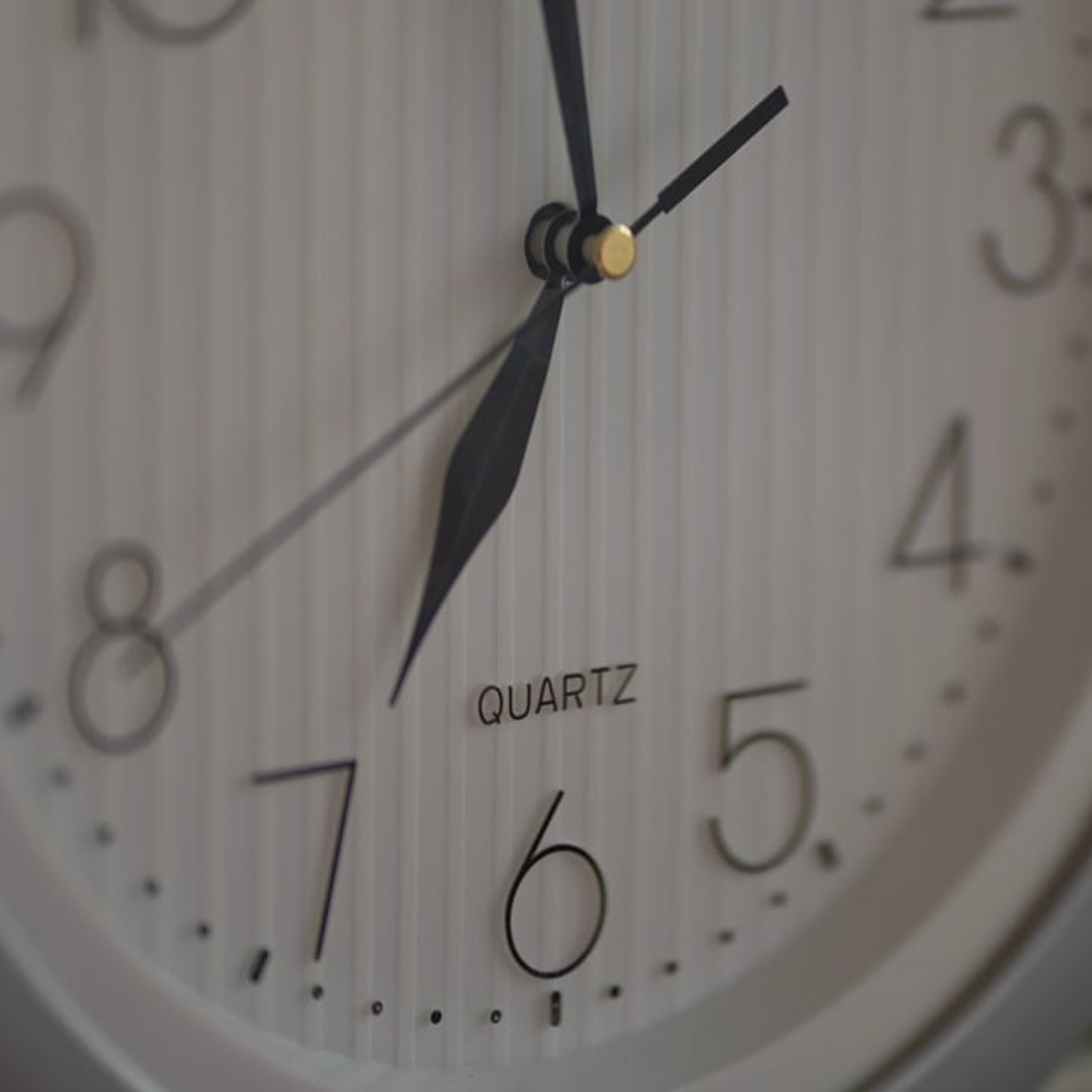 1 Сентября. Видеограф в Москве и Подмосковье Наташа Андрианова