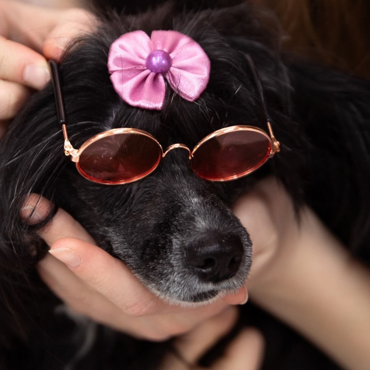 Репортажный, семейный фотограф в Сургуте Оксана Шаяхметова