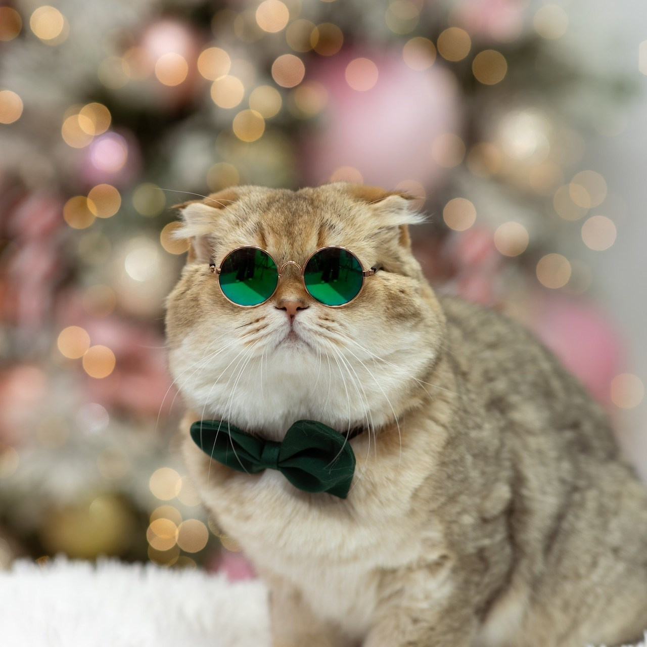 Репортажный, семейный фотограф в Сургуте Оксана Шаяхметова