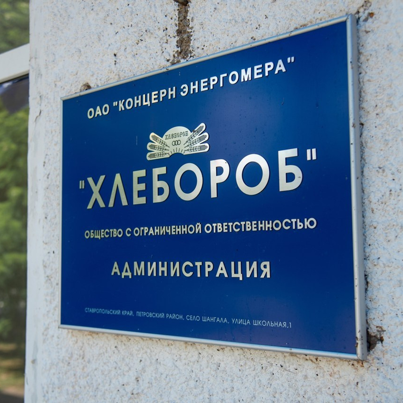Отзывы. Фотограф Алексей Черняев