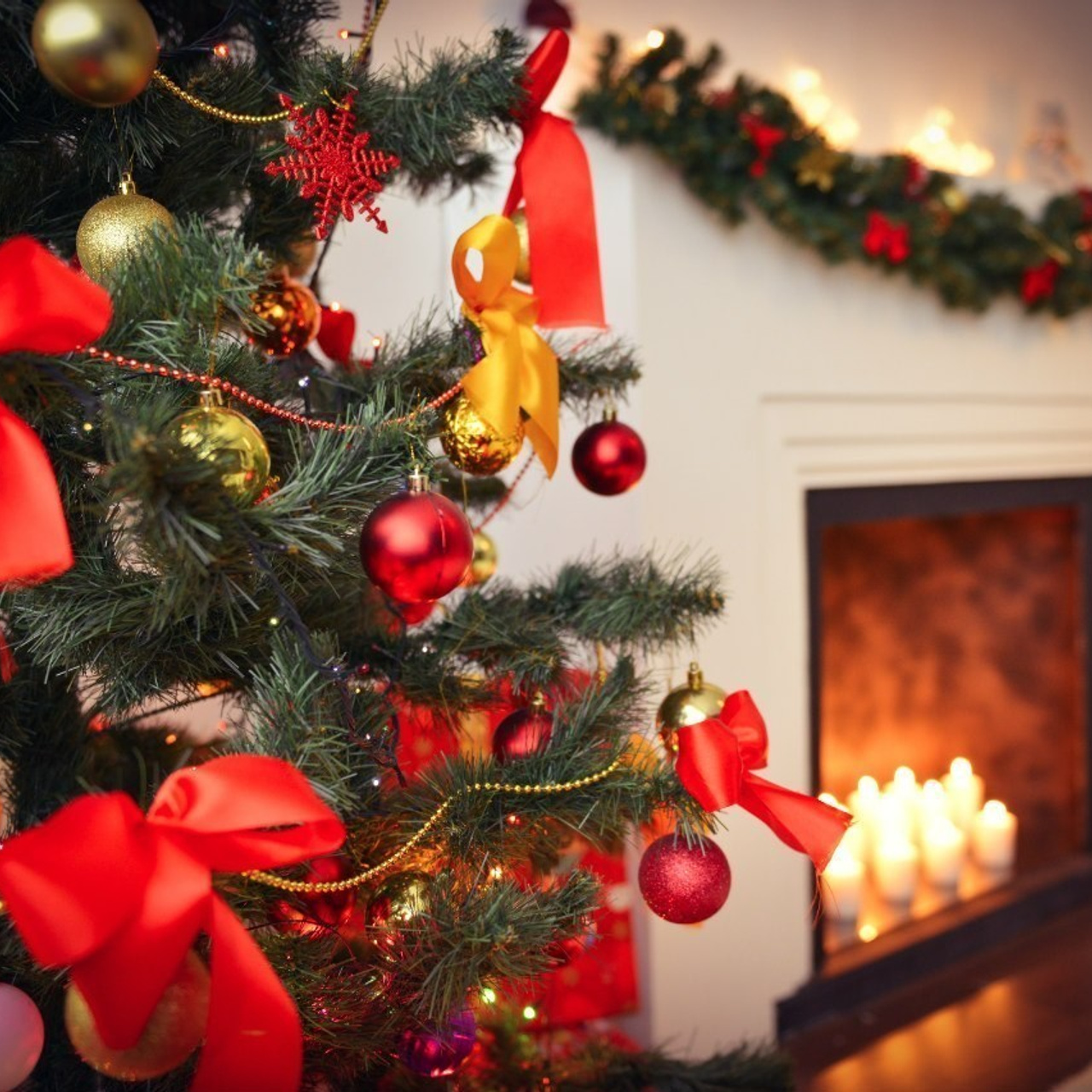 Отзывы. Выпускные альбомы в Туле Фотограф Юлия Чуракова