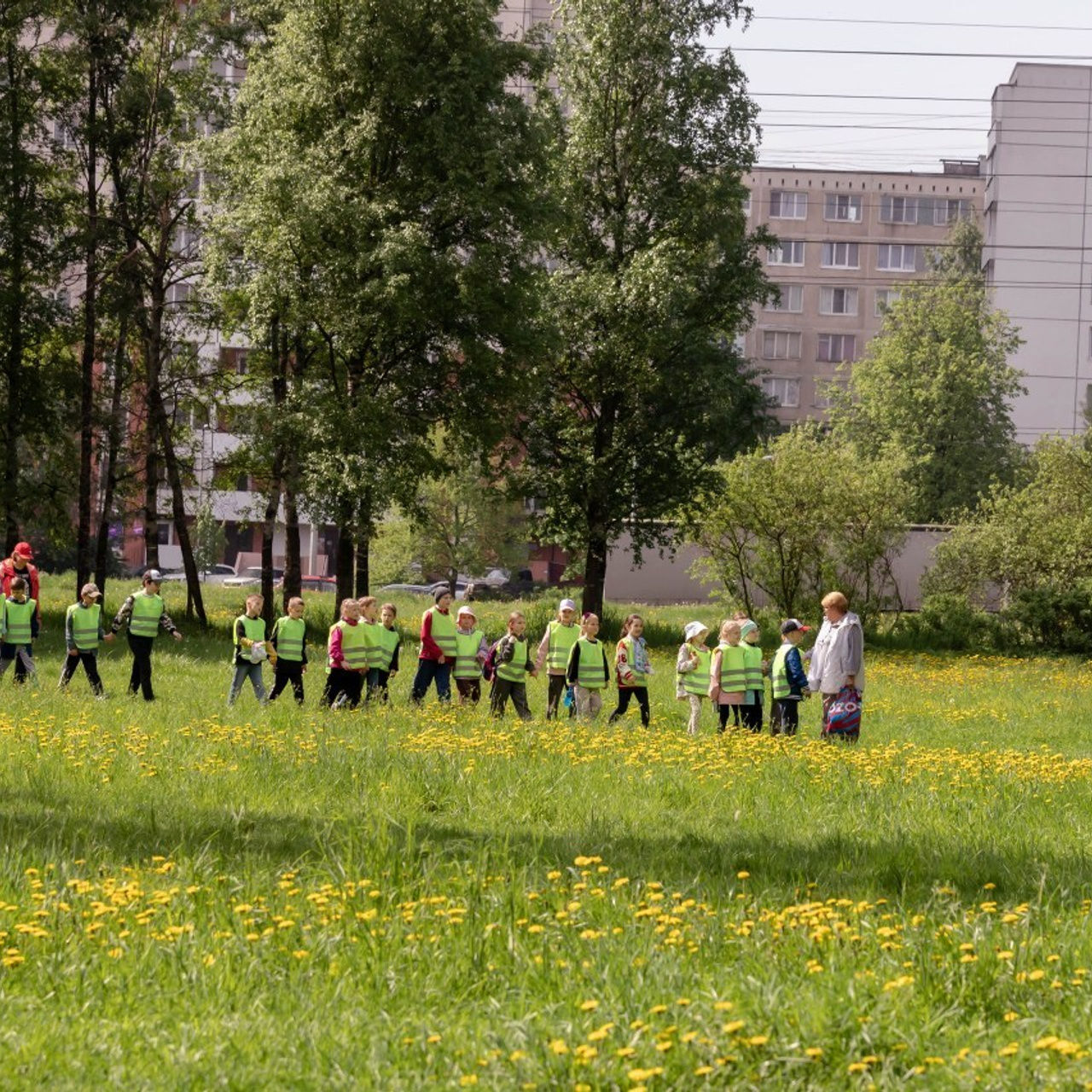Отзывы на фотосессию с лошадьми. Конный фотограф в Санкт-Петербурге Анна Лебедева