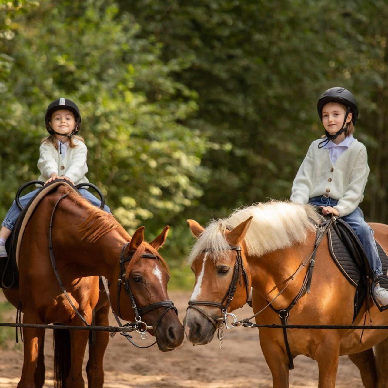 Отзывы на фотосессию с лошадьми. Конный фотограф в Санкт-Петербурге Анна Лебедева