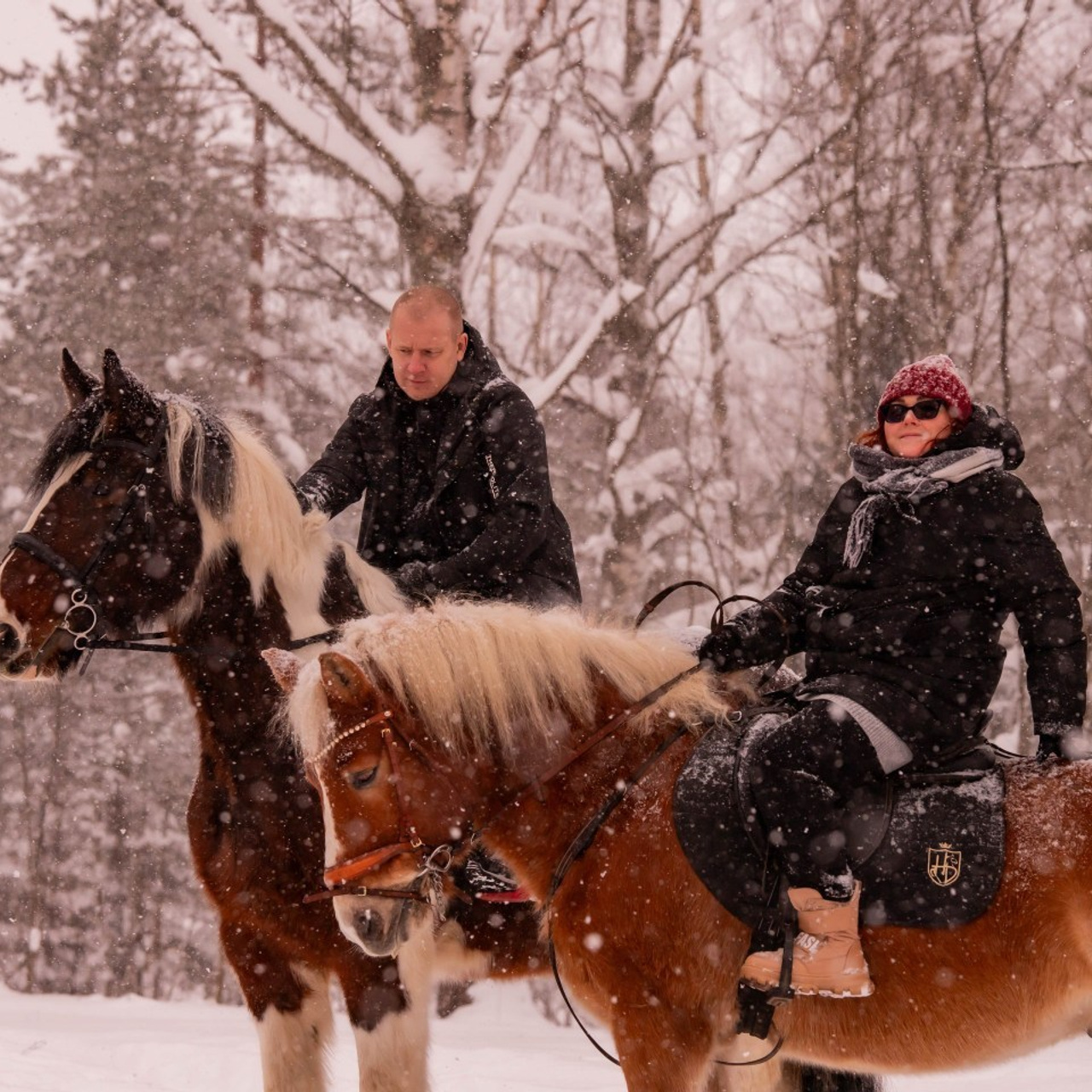 Отзывы на фотосессию с лошадьми. Конный фотограф в Санкт-Петербурге Анна Лебедева