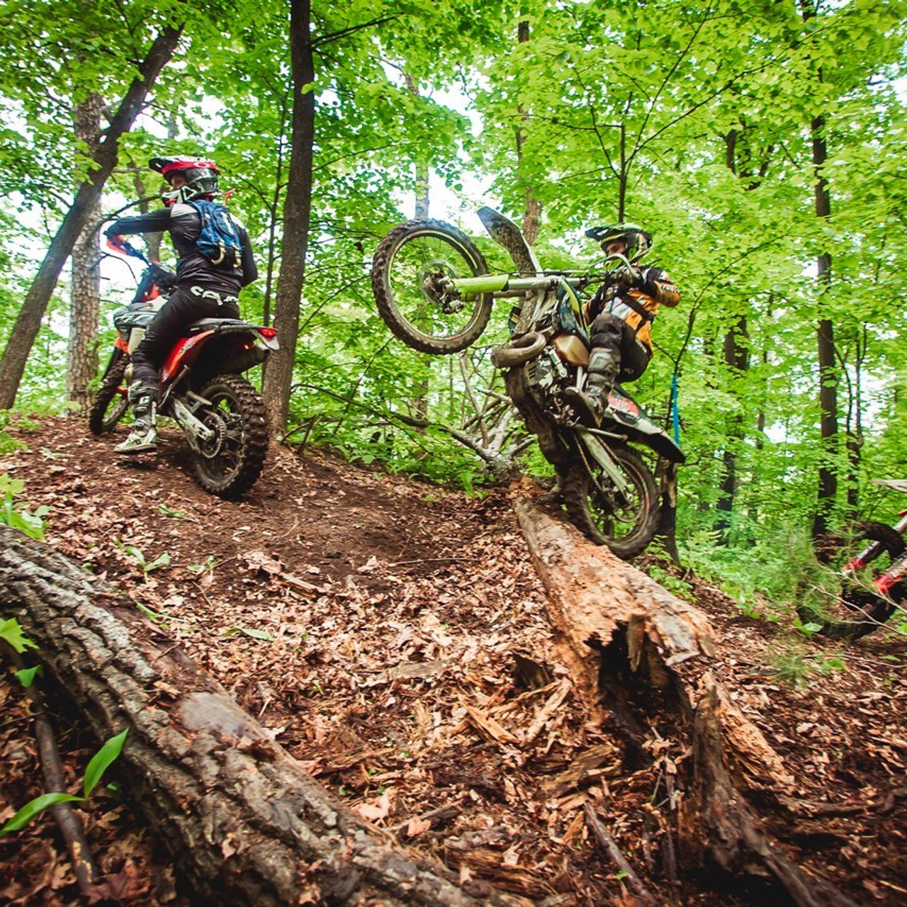 Отзывы. Фотограф Левченко Денис