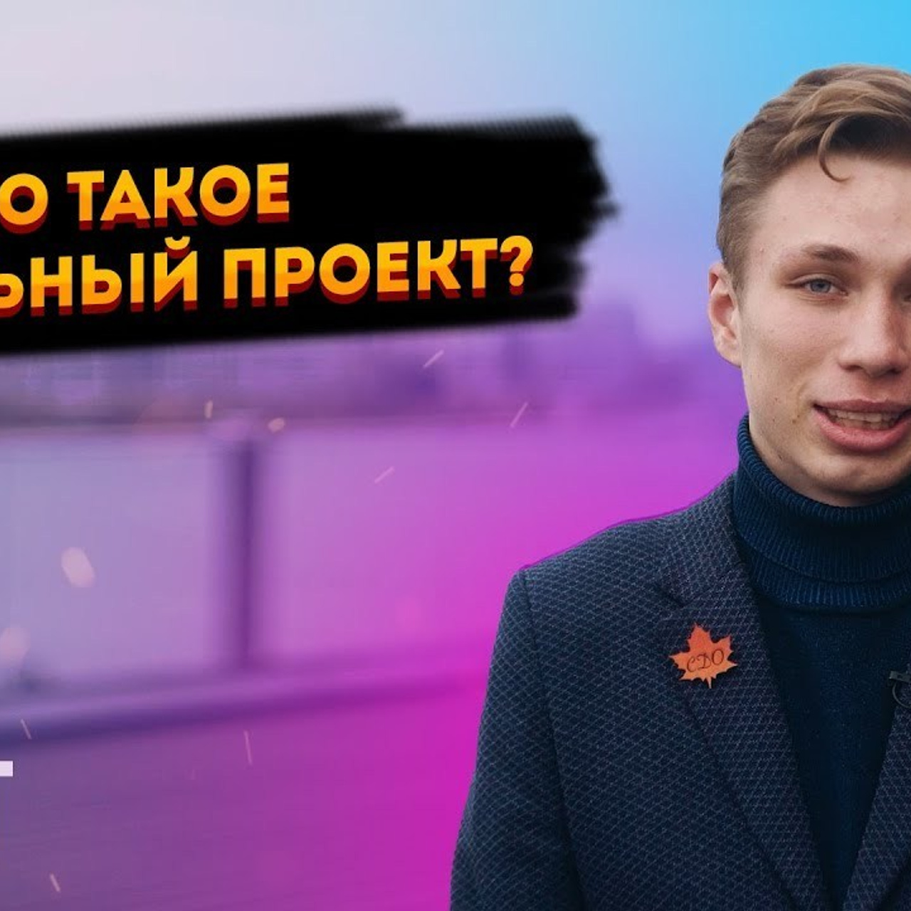 Экспертные видео