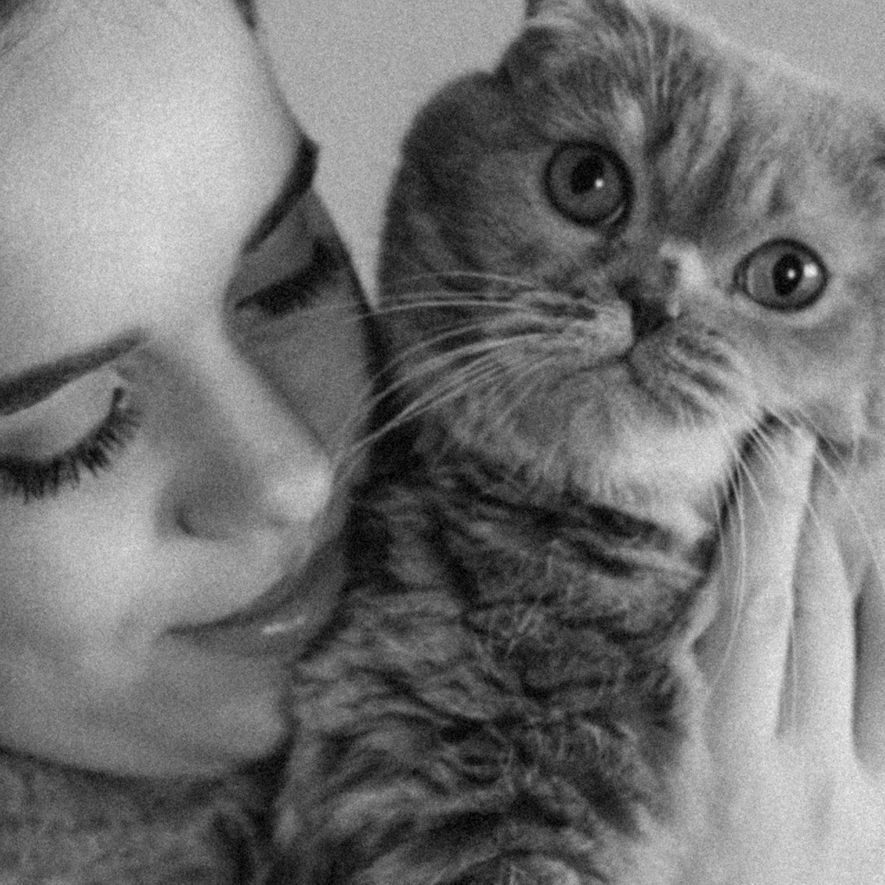 Отзывы. Семейный фотограф в Ростове-на-Дону Безкишкина Татьяна