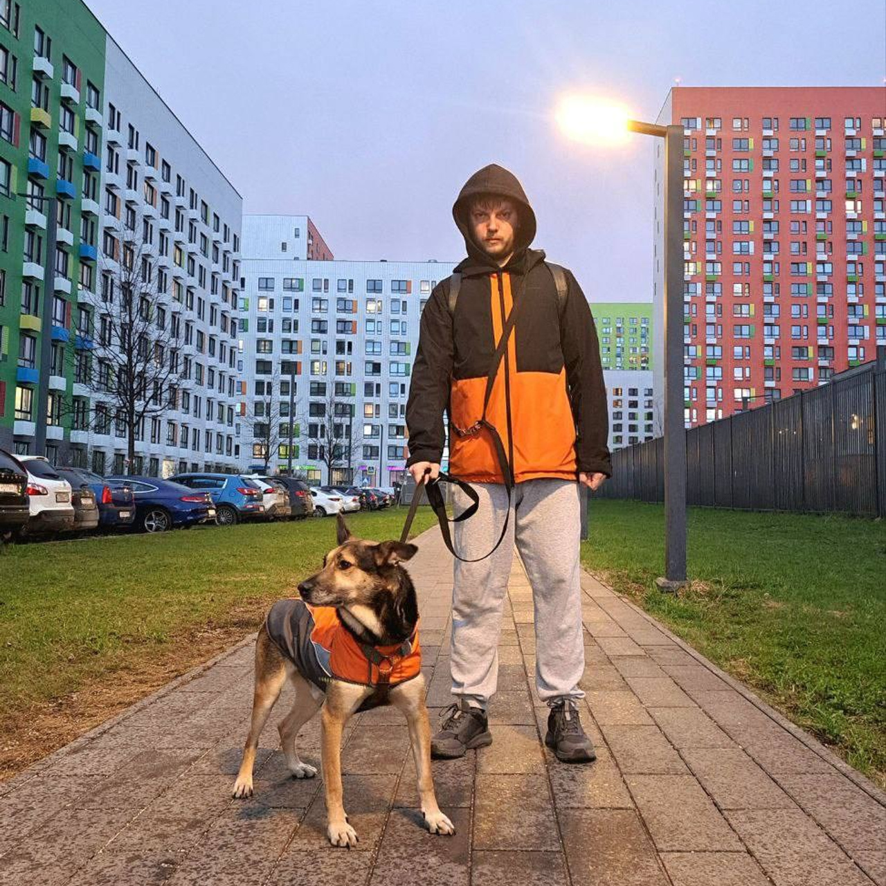 Уже дома. Забери домой друга