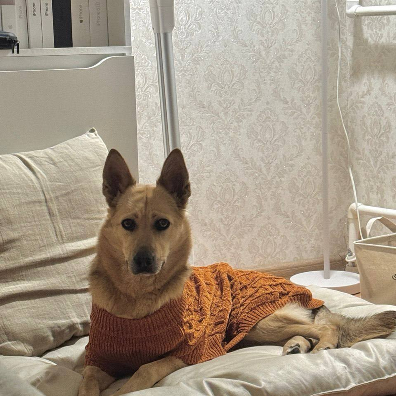 Уже дома. Забери домой друга