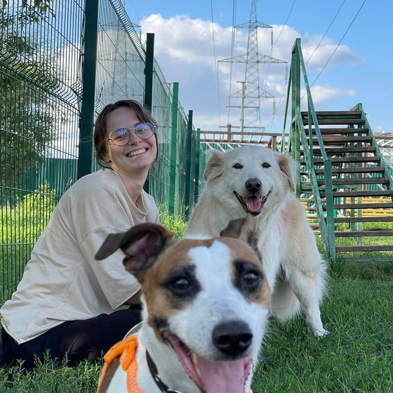 Уже дома. Забери домой друга