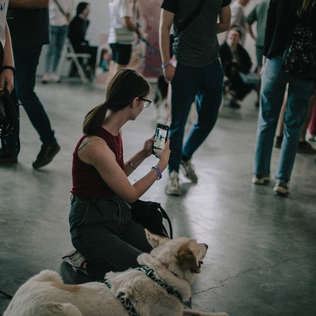 Прогулки и волонтерство. Забери домой друга