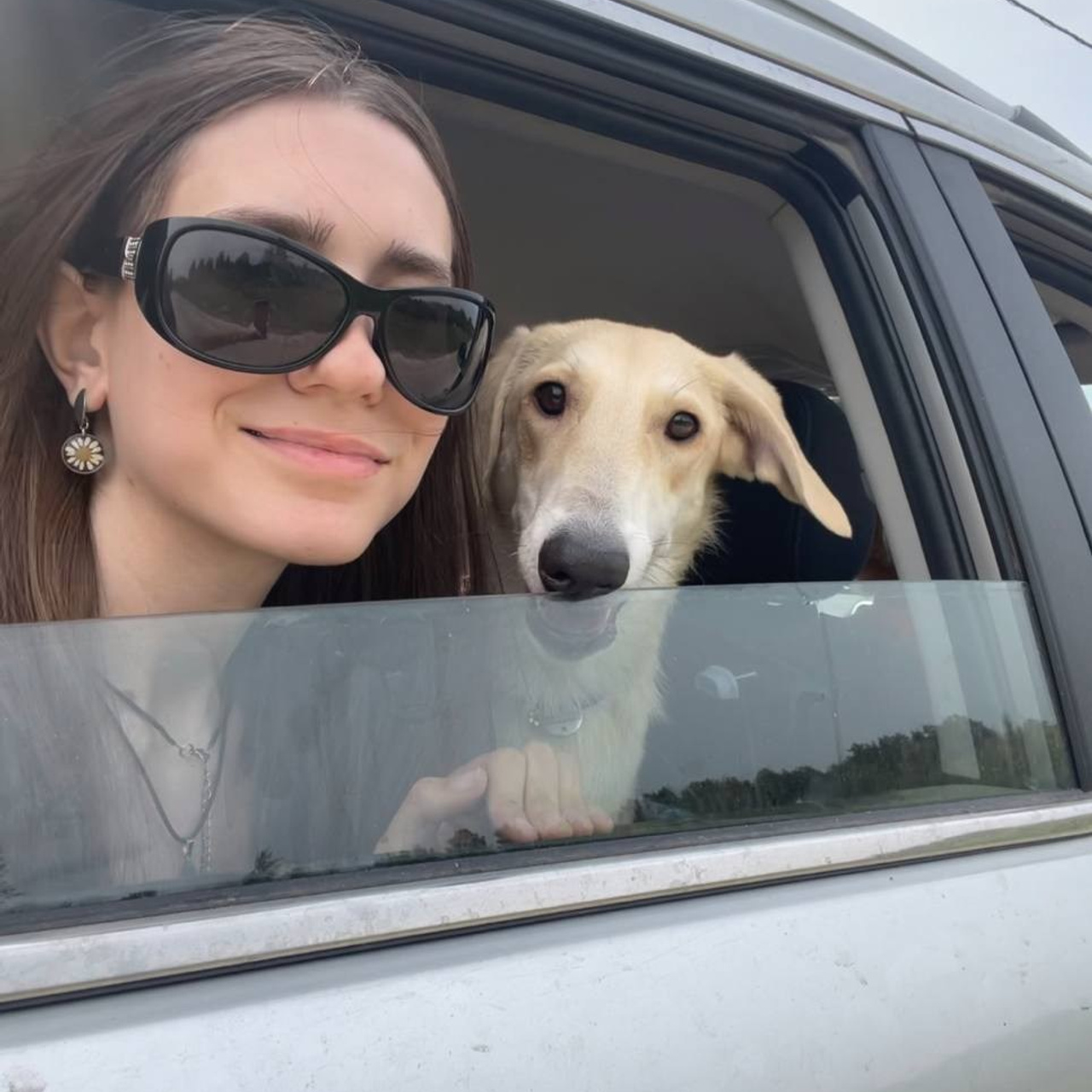 Уже дома. Забери домой друга