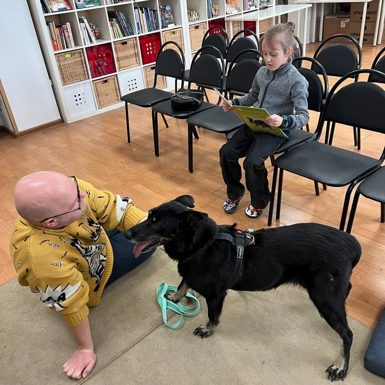 Прогулки и волонтерство. Забери домой друга