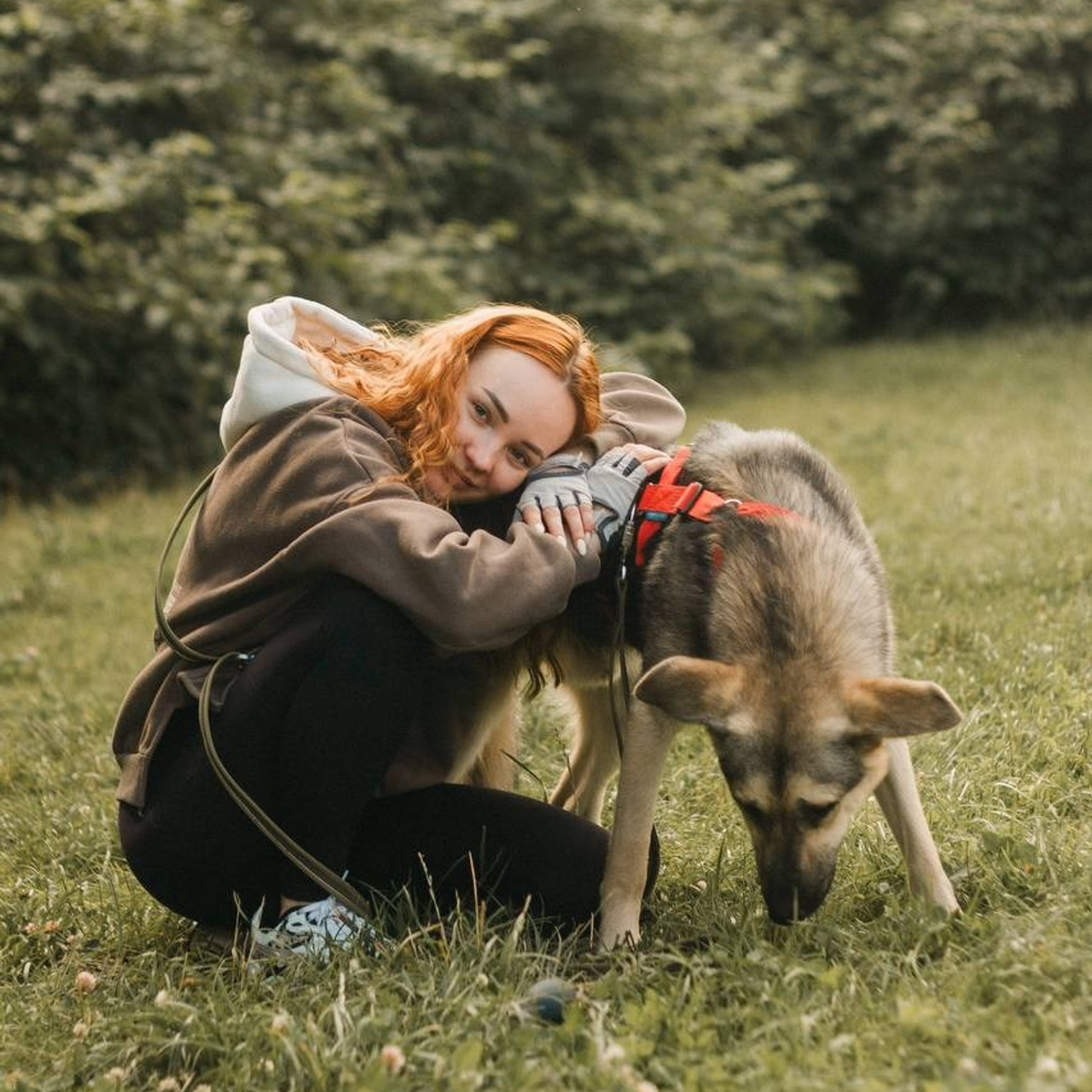 Прогулки и волонтерство. Забери домой друга