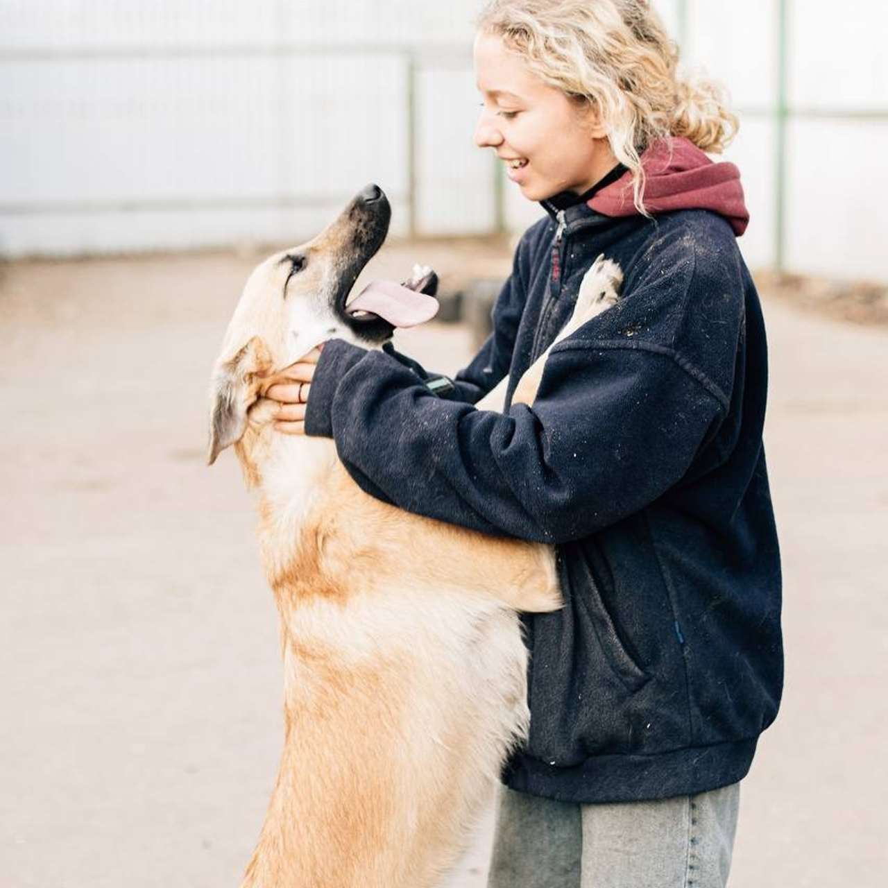 Прогулки и волонтерство. Забери домой друга