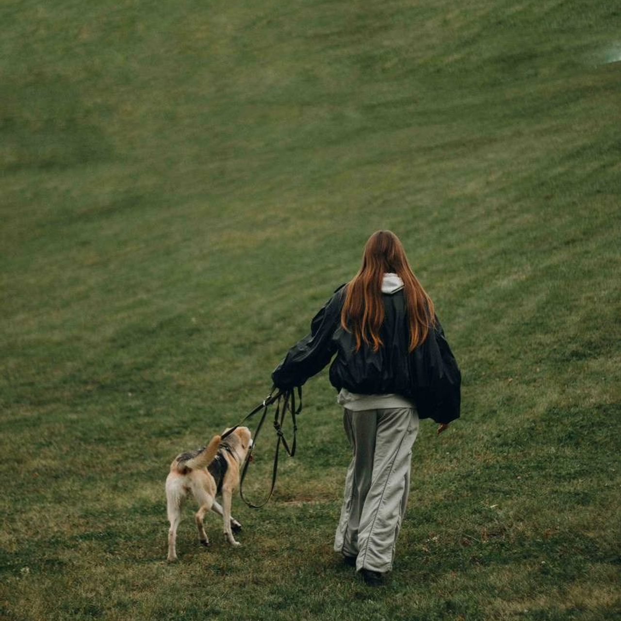 Уже дома. Забери домой друга