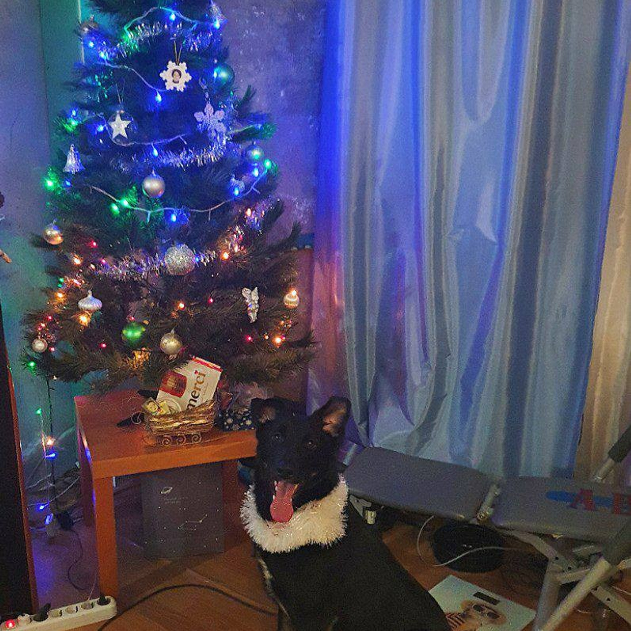 Уже дома. Забери домой друга