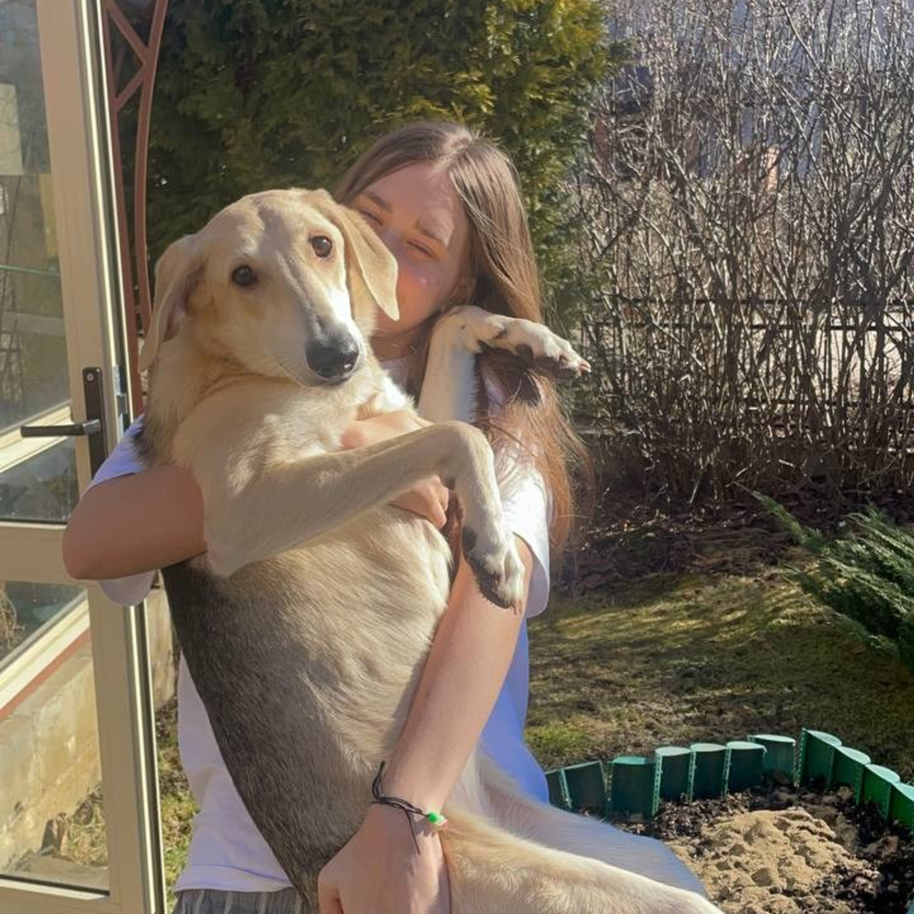 Уже дома. Забери домой друга