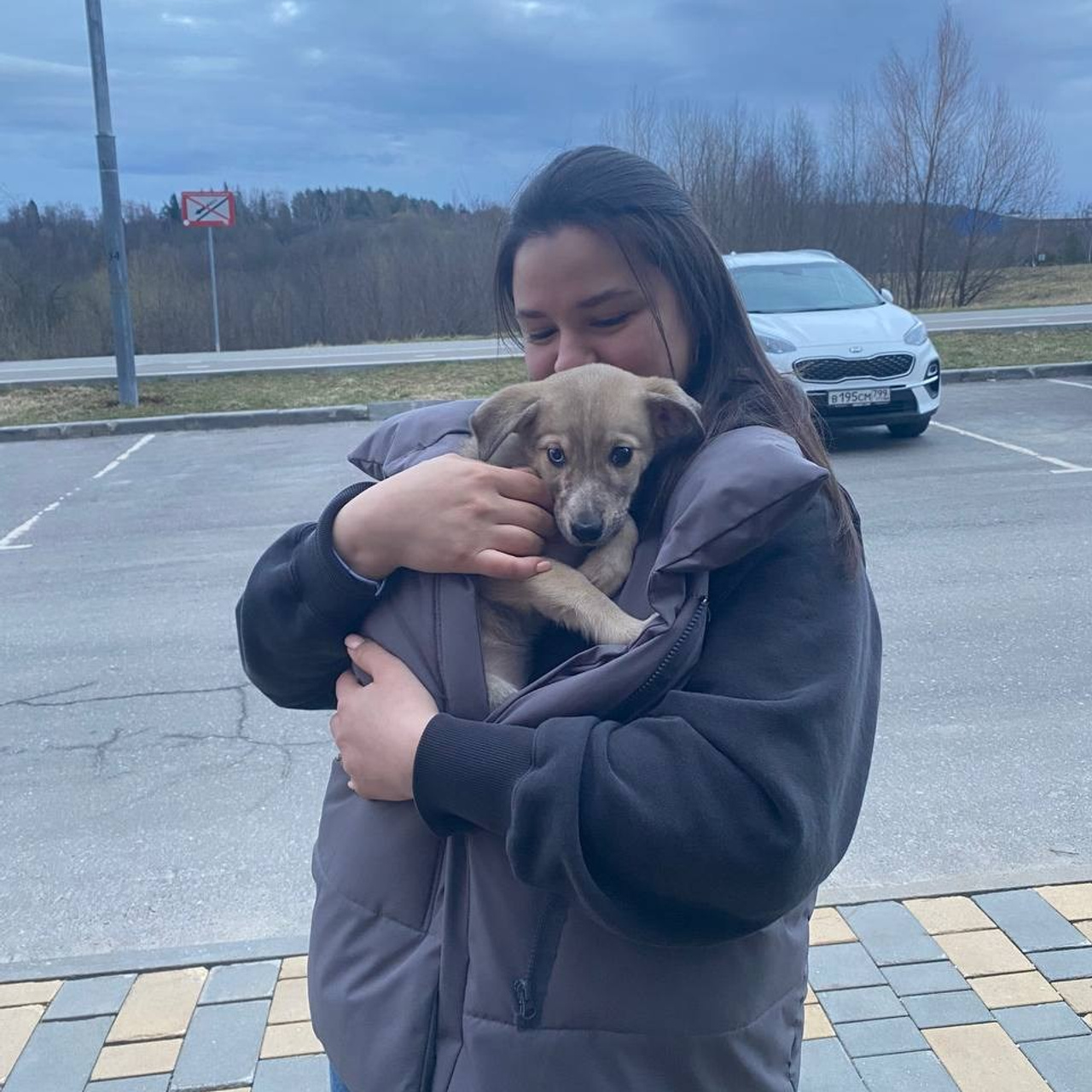 Уже дома. Забери домой друга