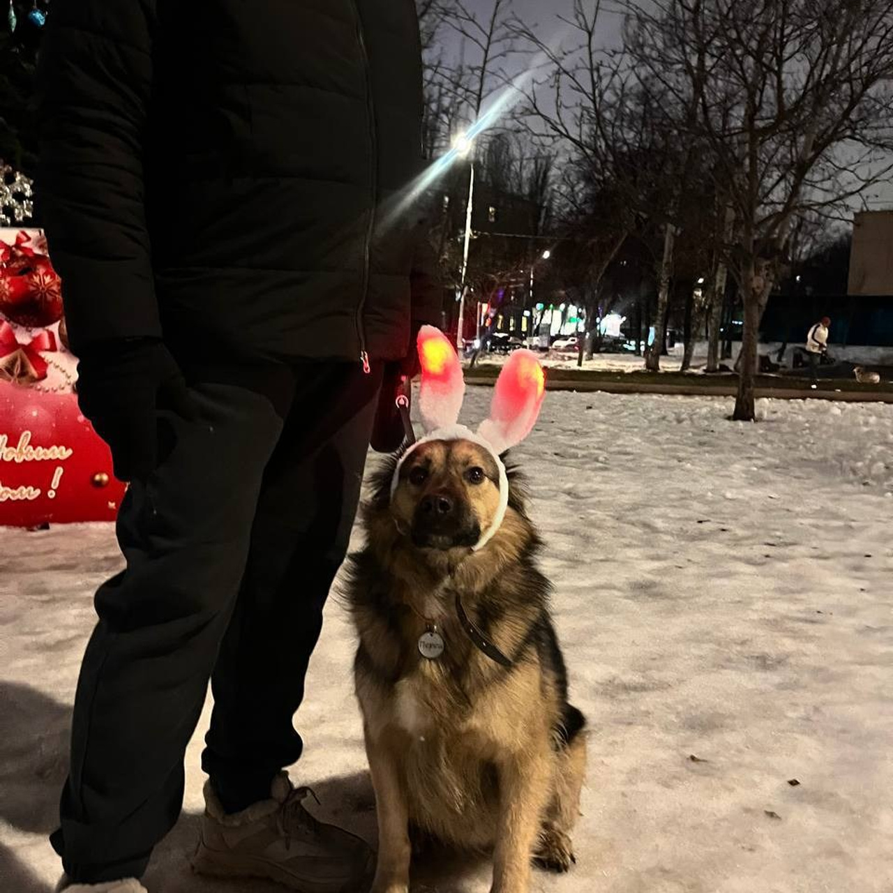 Уже дома. Забери домой друга