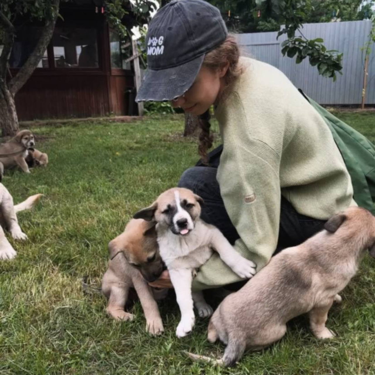 Прогулки и волонтерство. Забери домой друга