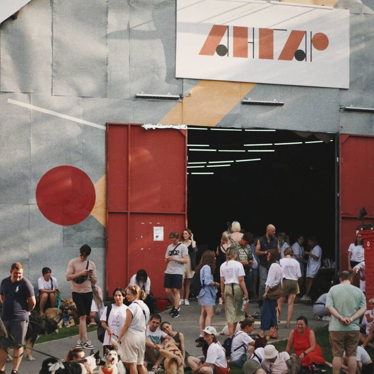 прогулки и волонтерство