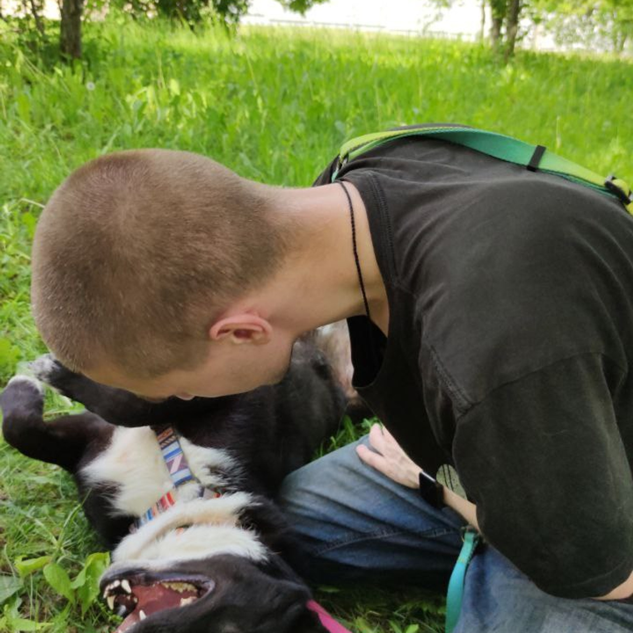Прогулки и волонтерство. Забери домой друга