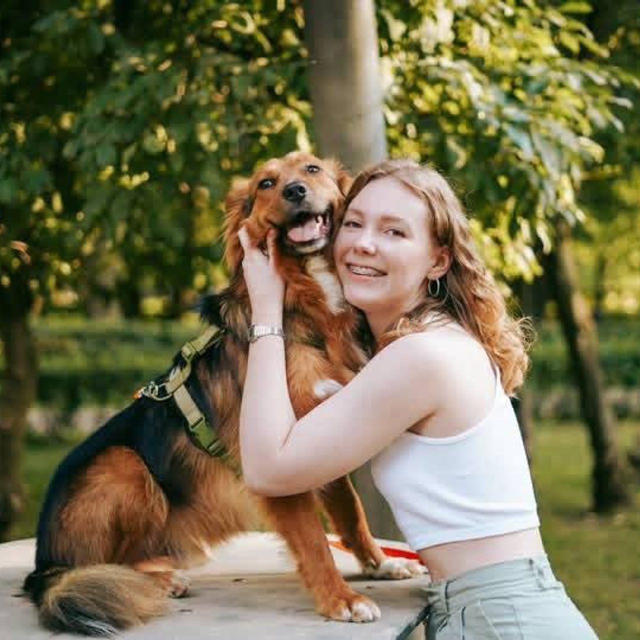 Уже дома. Забери домой друга