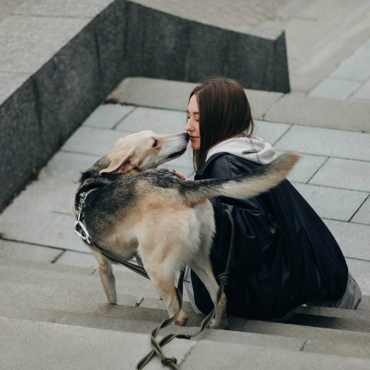 Уже дома. Забери домой друга