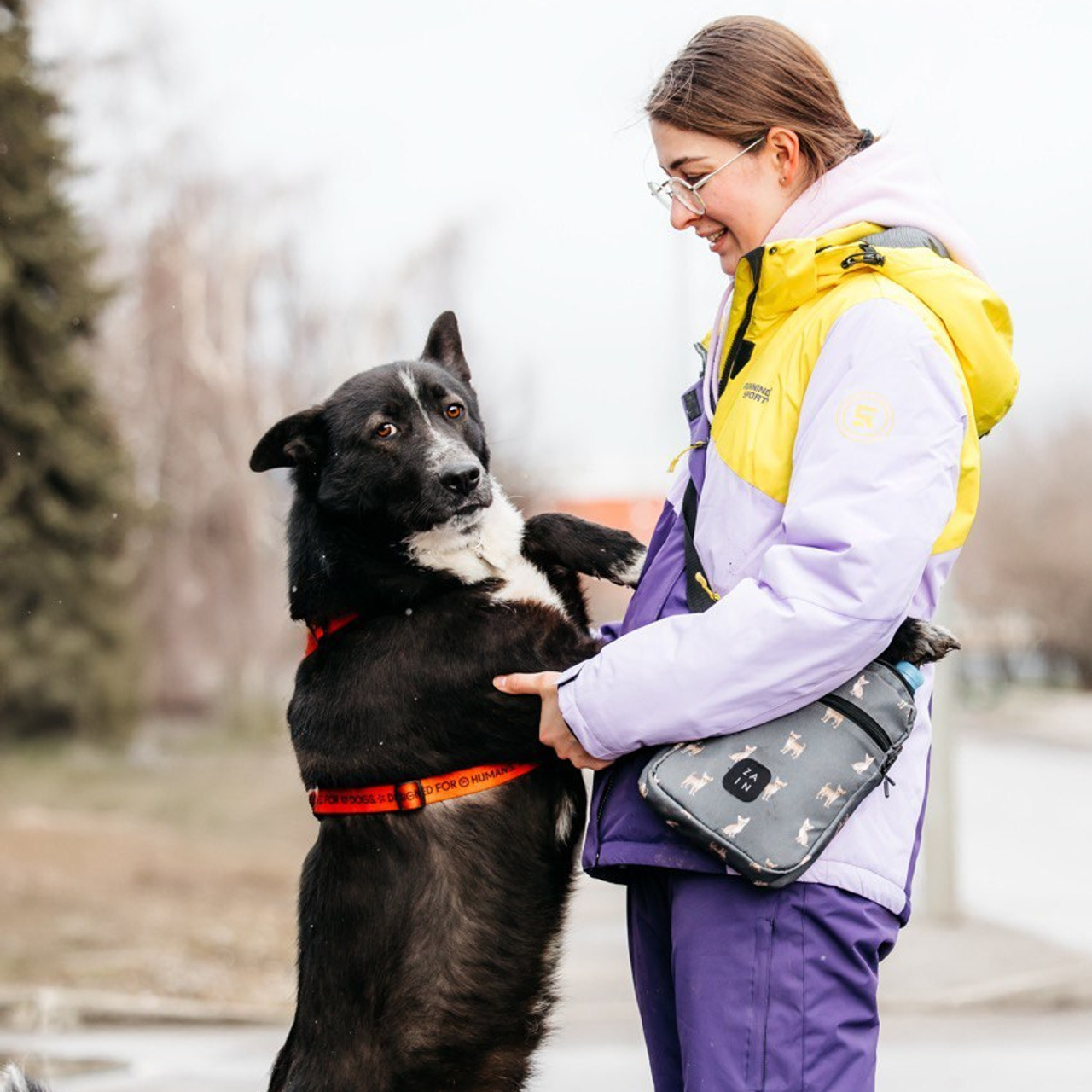 Прогулки и волонтерство. Забери домой друга