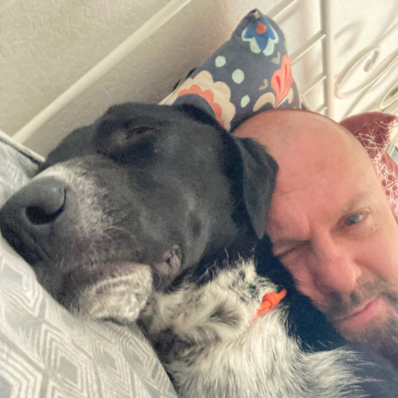 Уже дома. Забери домой друга