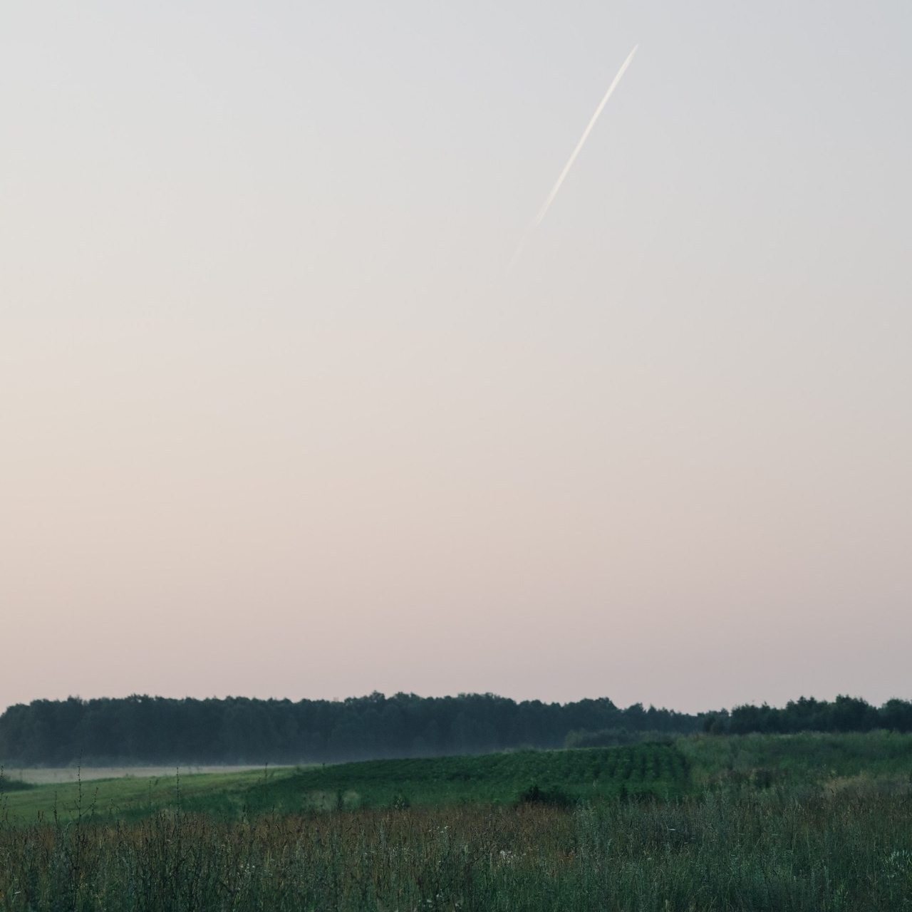 Отзывы. Алёна Стерхова — Предметный и портретный фотограф. Ижевск