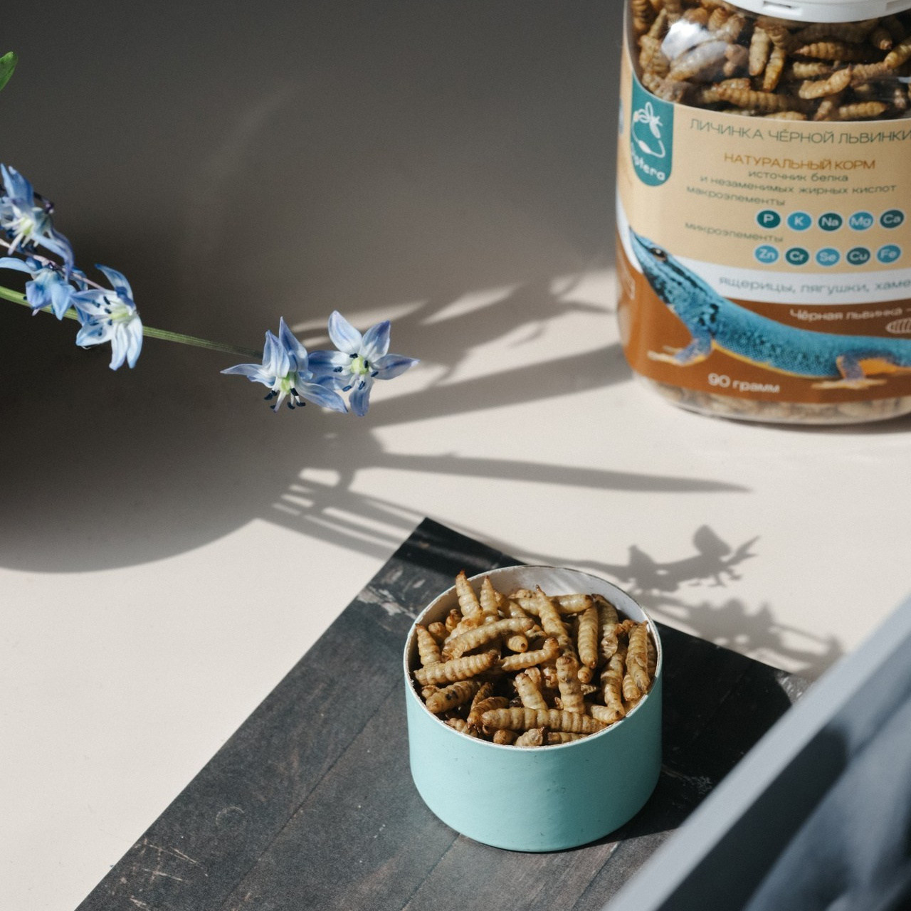 Отзывы. Алёна Стерхова — Предметный и портретный фотограф. Ижевск