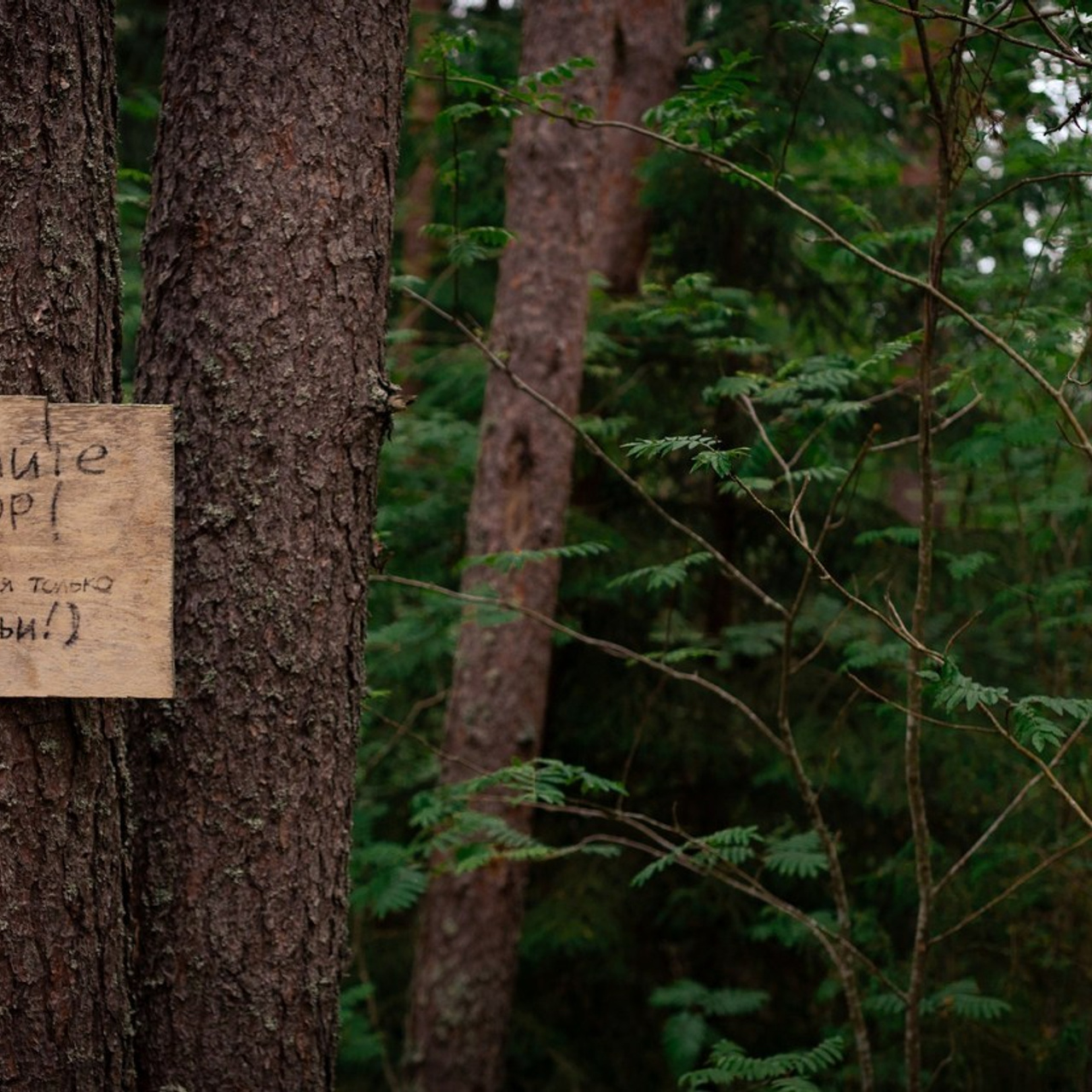 Отзывы. Фотограф в Москве