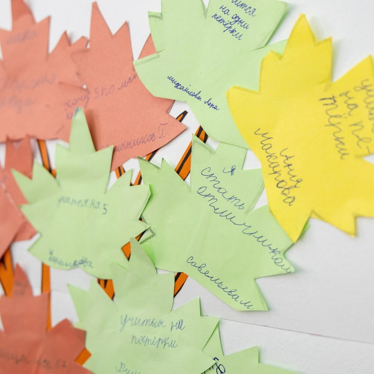 Отзывы. Семейный фотограф в Абакане Любовь Халявина