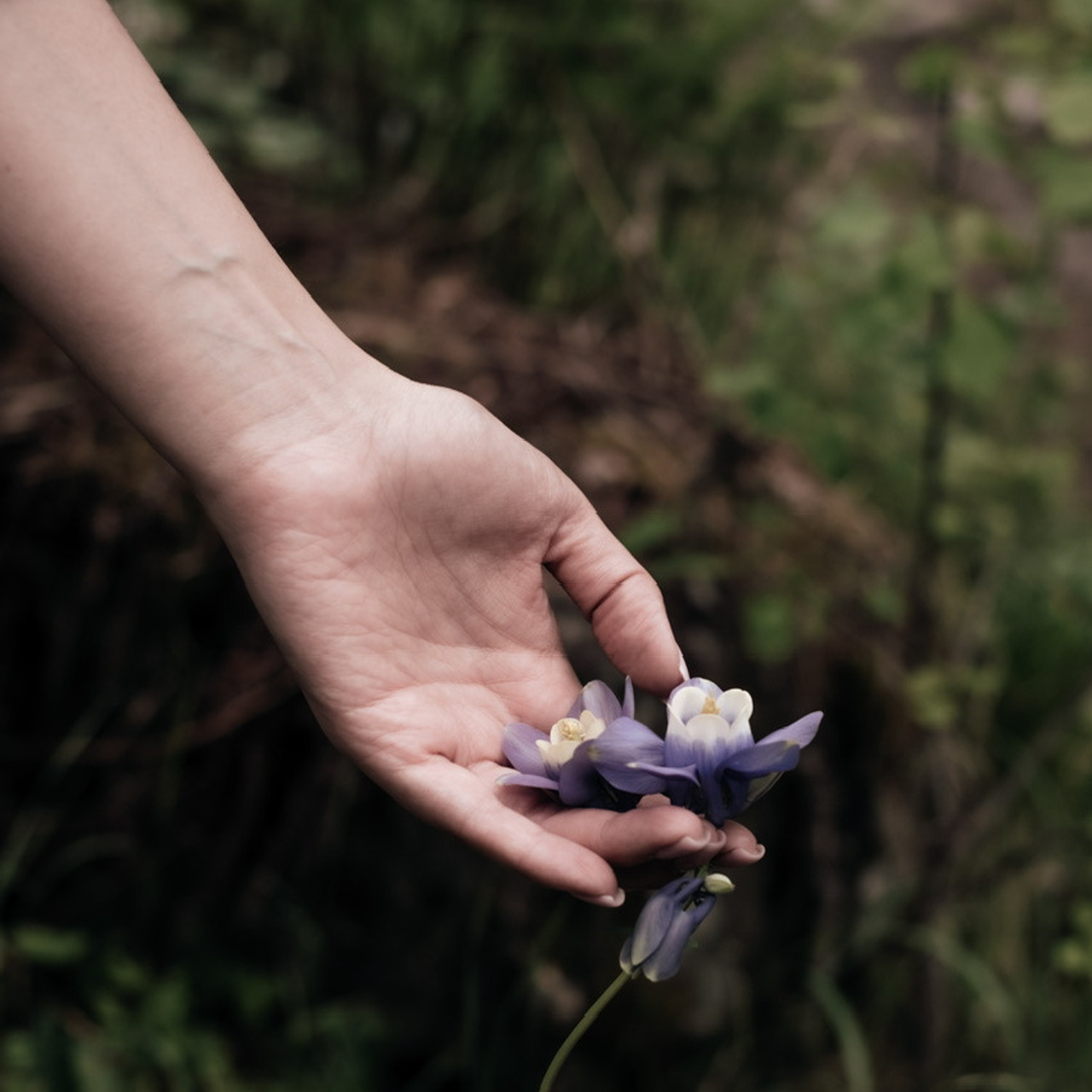 Отзывы. Фотограф в Барнауле и на Алтае Маша Савова