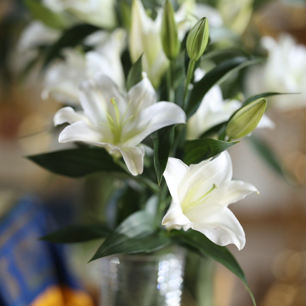 Отзывы. «Книжка с картинками» Фотограф Наталья Цыбина