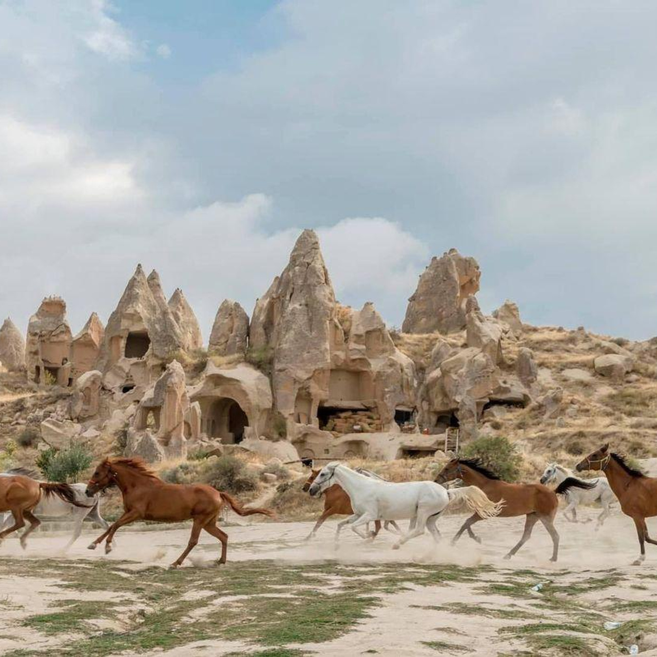 Азербайджан 2024, фотоотчет. Семейный фотограф, фотосессия беременности в Новосибирске Кристина Киб