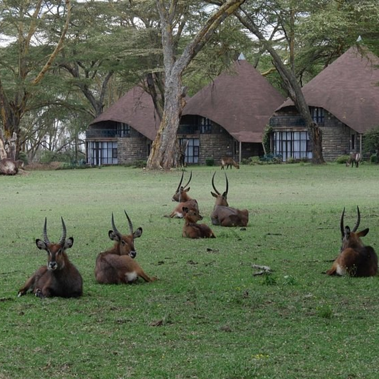 КЕНИЯ 20-26,03. Семейный фотограф, фотосессия беременности в Новосибирске Кристина Киб
