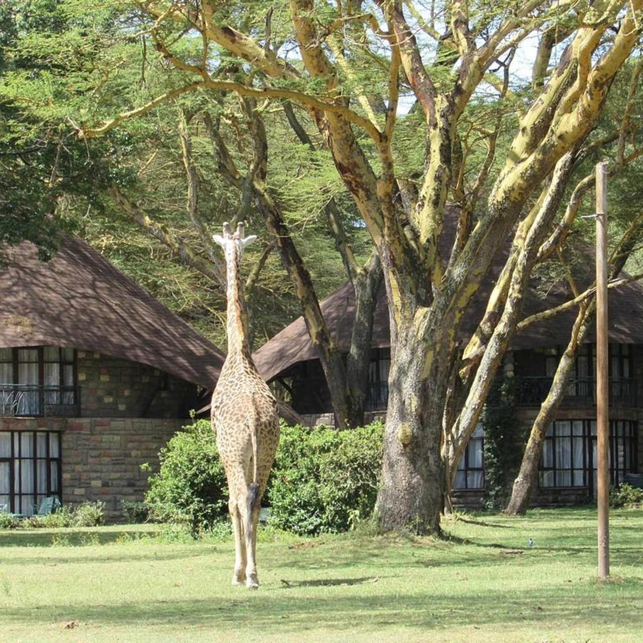 КЕНИЯ 20-26,03. Семейный фотограф, фотосессия беременности в Новосибирске Кристина Киб