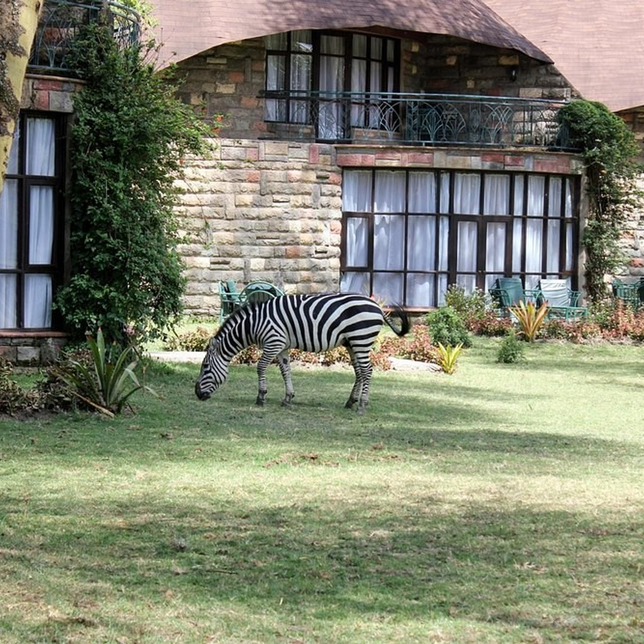 КЕНИЯ 20-26,03. Семейный фотограф, фотосессия беременности в Новосибирске Кристина Киб