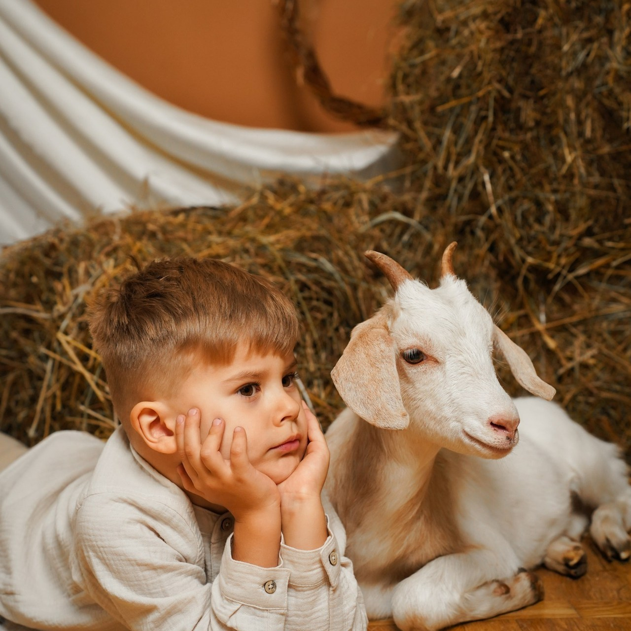 Отзывы. Контент фотограф Санкт-Петербург Богодухова Лариса