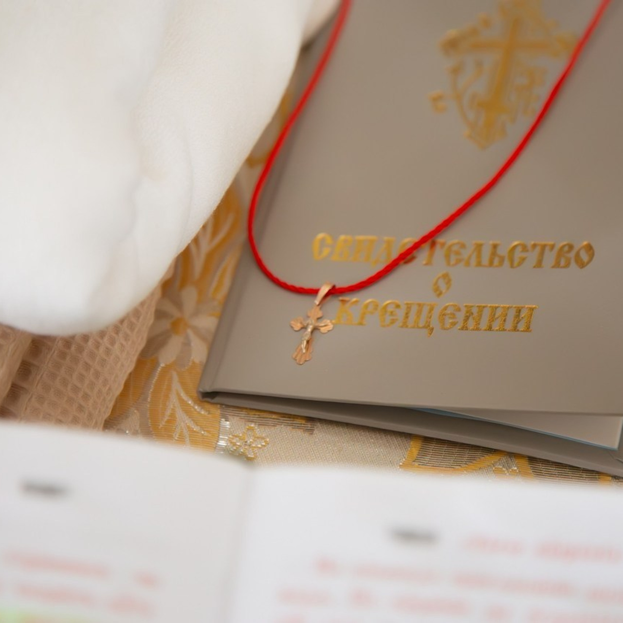 Отзывы. Ирина Чайка. Профессиональный фотограф и наставник экспертов