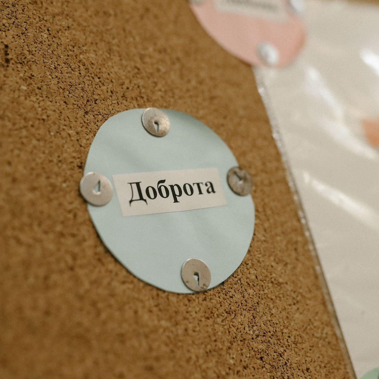 Отзывы. Фотограф  Ксения Евдокова. Дзержинск, Нижний, Москва, Питер